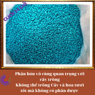 Phân NPK 20-20-15 dùng hoa và cây cảnh mọi giai đoạn đều được✳️ Yêu Nhà Yêu Hoa