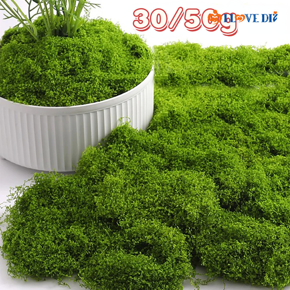 Thảm cỏ rêu nhân tạo Cây xanh giả Cỏ rêu giả cho sàn treo tường gia ...
