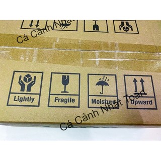 Hồ nuôi rùa cao cấp Jeneca GH05 có dàn lọc 30x30x20cm