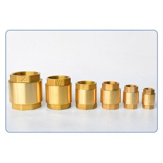 FEIYING 1 Van Một Chiều, Van Kiểm Tra Bằng Đồng NPT Lò Xo Sợi Nữ, Hệ Thống Bể Cá Tưới 1 / 2 "3 / 4" 1 "2" DN15 DN20 DN25 Cho Van Chống Chảy Ngược Kiểm Soát Nước