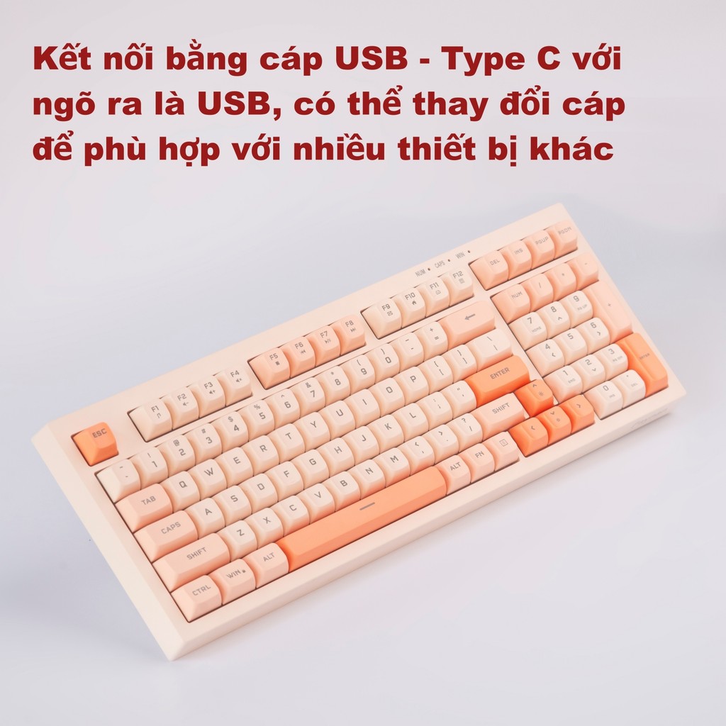 Bàn phím văn phòng P5 Paynan Peachy chống ồn kết nối cáp rời 98 phím đèn led trắng  keycap màu cổ điển | BigBuy360 - bigbuy360.vn