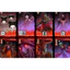 Boardgame Trò chơi Thiên sư bắt ma Ghost Stories Tigar