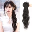 DELMER Móng Vuốt Kẹp Tóc Giả Đuôi Ngựa, Phong Cách Cổ Cổ Thấp Đuôi Ngựa Tóc Giả Phong Cách Mới, Hợp Thời Trang Hanfu Nhẹ Nhàng Đuôi Ngựa Xoăn Dài Tự Nhiên Cho Nữ