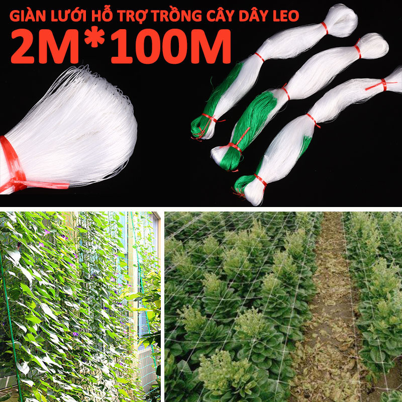 Giàn Lưới Hỗ Trợ Trồng Cây Dây Leo，2M X 100M，Thích hợp cho tất cả các loại leo cây