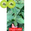 Cây Chuối Laba - Và chuối siêu lùn - Giống Nuôi Cấy Mô - Giống Chuối Laba Sinh Trưởng Nhanh, Năng Suất Cao