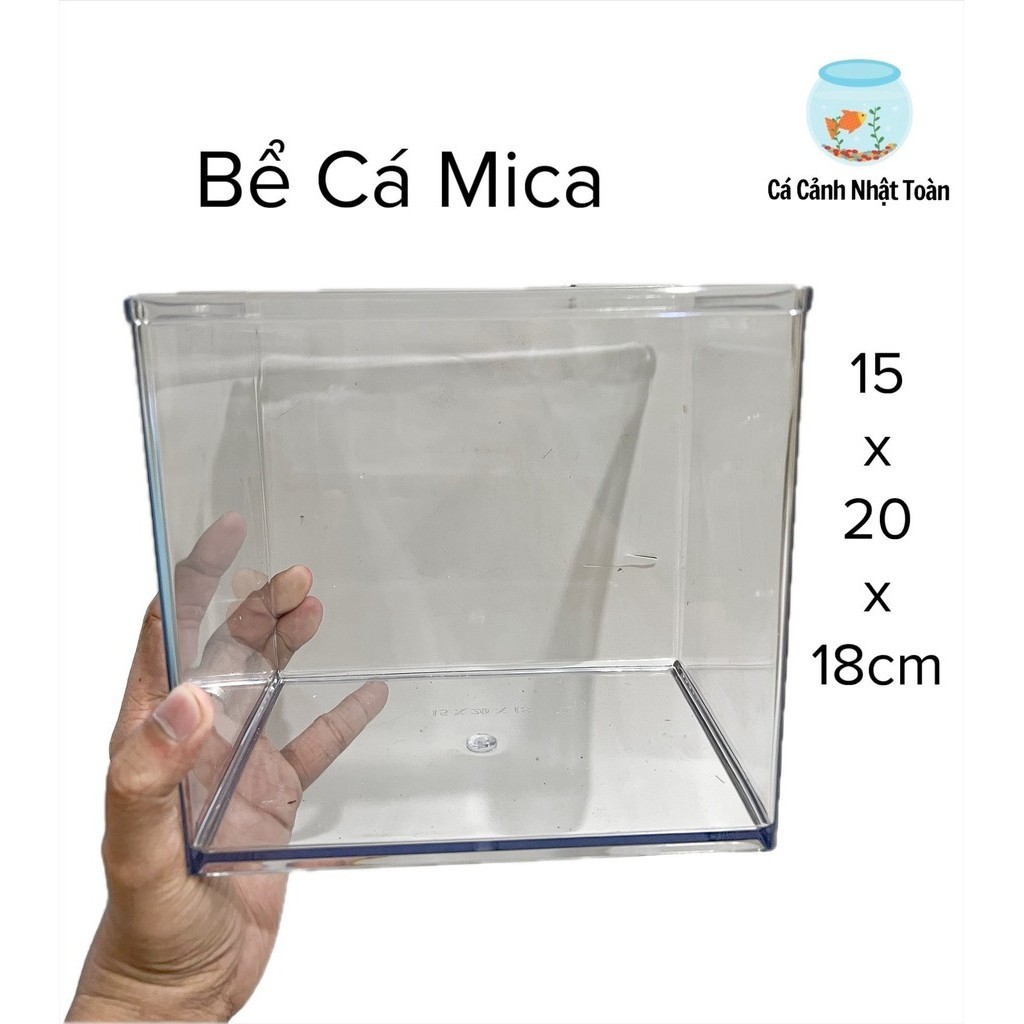 Bể Cá Betta Mica Siêu Trong HIện Đại 15x20x18cm