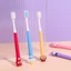 FAVORITEGOODS Bàn chải đánh răng Capybara, Bàn chải đánh răng hoạt hình PET thủ công, Bàn chải đánh răng Anime silicon mềm thời trang