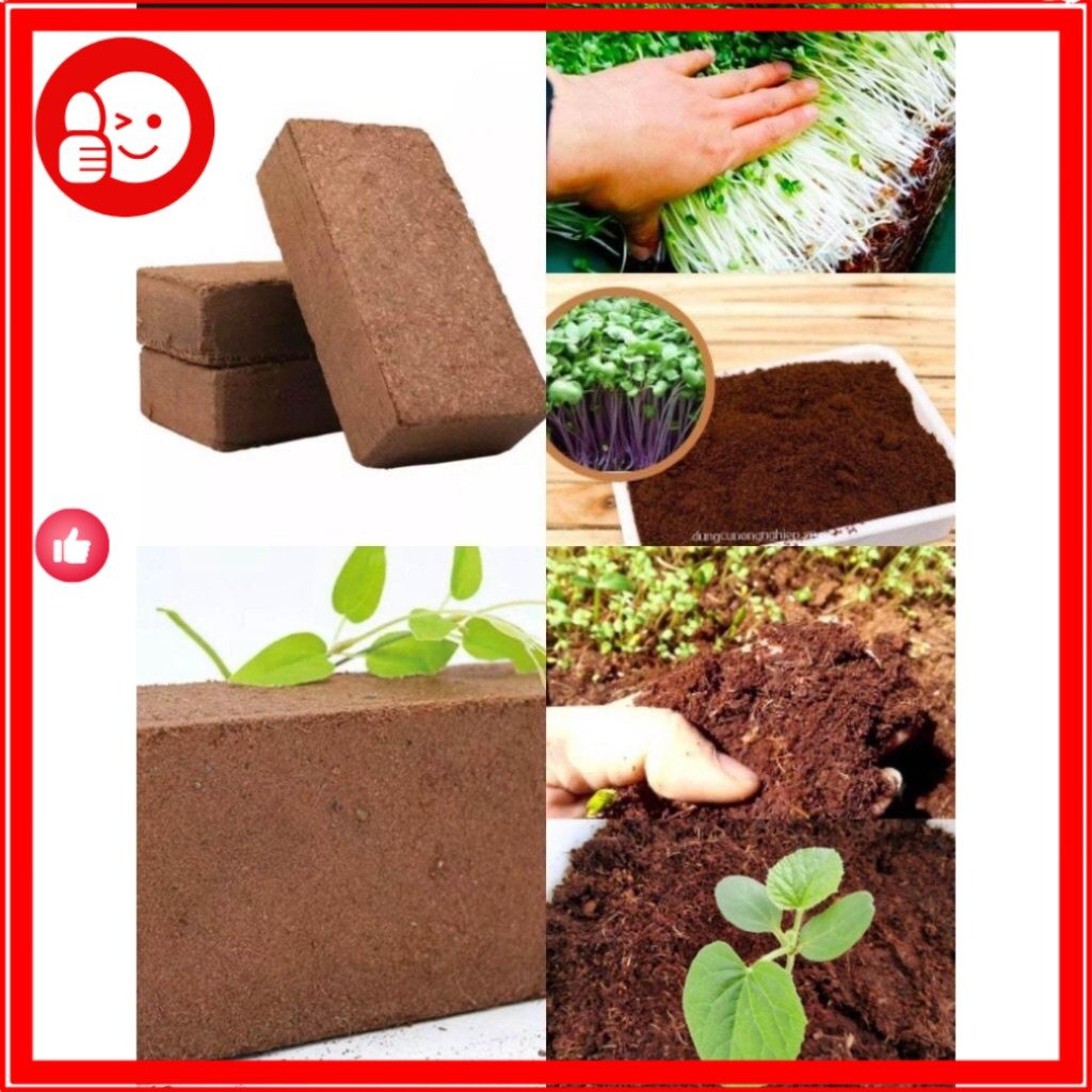 Xơ dừa, mùn dừa chất lượng, hoàn hảo cho trồng cây, rau, sen đá, rau ...
