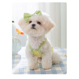 2 Chiếc Shihtzu Chó Clothe Puppy Kẹp Tóc Mùa Hè Sling Quần Áo Và Nơ Kẹp Tóc Thú Cưng Mèo Quần Áo Cho Chó Nữ Áo Thun Quần Áo