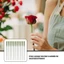 PWSSEND 25 Chiếc Ống Dinh Dưỡng Dài, Hộp Đựng Nước Cực Ống Trồng Nhựa, Bao Bì Hoa Đa Năng Bó Hoa Bảo Quản Ống Sắp Xếp Hoa