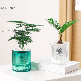 Chậu hoa tự tưới nước Gcdhome Lazy Tự động hấp thụ nước nuôi trồng thủy sản HOT