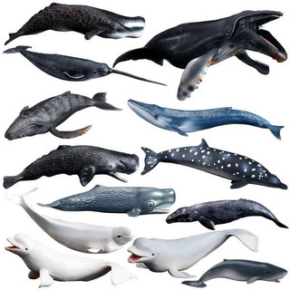 Chơi Mô Hình Âm Nhạc Rắn Động Vật Biển Mô Hình Ghế Đầu Cá Voi Beluga Lan Rộng Thơm Cá Voi Sát Thủ Cá Voi Xanh Cá Voi Cá Voi Đồ Chơi Trẻ Em