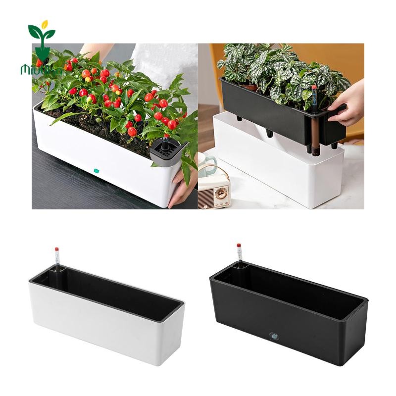 Miulika Hình Chữ Nhật Tự Tưới Cây Chậu Trang Trí Chậu Cây Hai Lớp Hộp Cửa Sổ Cho Cây Trong Nhà