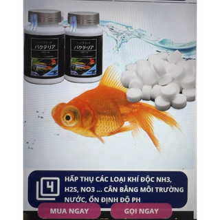 VIÊN VI SINH DẠNG VIÊN AQUARISTA LÀM TRONG NƯỚC BỂ CÁ CẢNH NHẬT BẢN