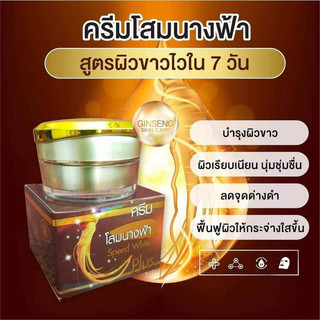 Kem Sâm Ginseng White Plus Thái Lan 20g - Hỗ Trợ Giảm Thâm Nám Tàn Nhang Sắc Tố Da