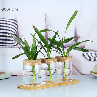 Gcdhome Chậu hoa trong suốt Thủy tinh giả Chậu hoa không đất Bình hoa nhà HOT