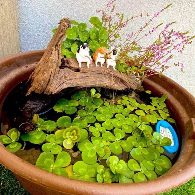 Mô Hình Mèo Câu Cá Bằng Nhựa - Trang Trí Tiểu Cảnh