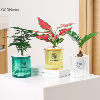 Chậu hoa tự tưới nước Gcdhome Lazy Tự động hấp thụ nước nuôi trồng thủy sản HOT