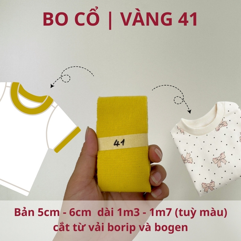 số 41