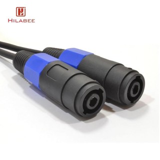 Bộ chia PA 0,3m Nam sang Dual Loa Dây cáp PA DJ Adapter