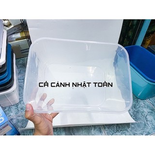 Khay nhựa nuôi cá 7 lít (30x22x16cm) màu trong suốt