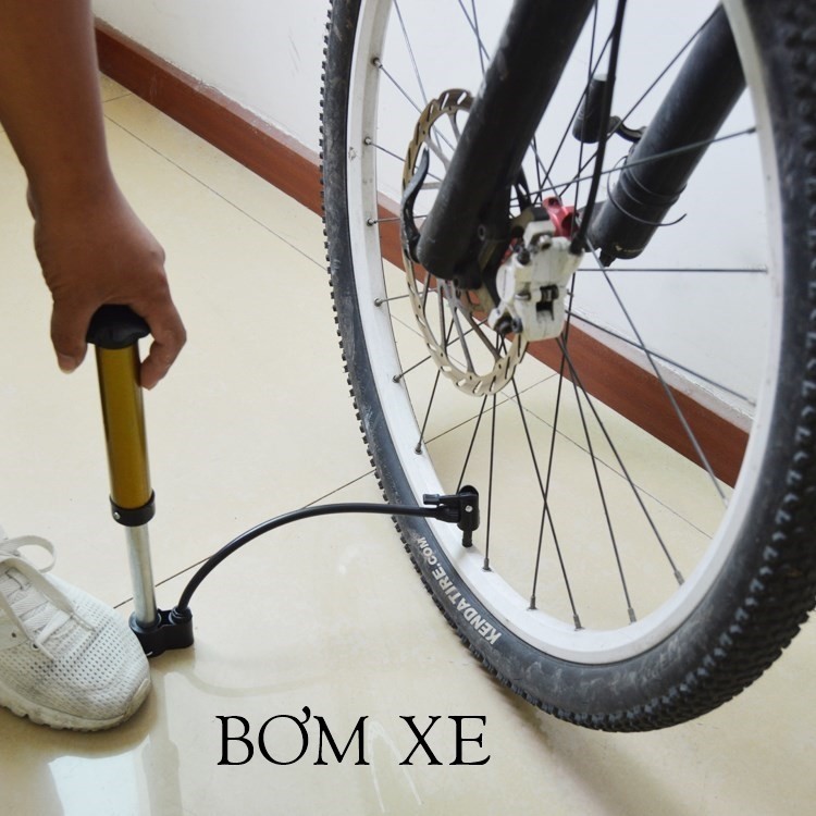 Ống Bơm Mini Cầm Tay Đa Năng 21 Cm Chất Liệu Hợp Kim Nhôm Dùng Bơm Bóng Đá, Bóng Rổ, Bóng Chuyền, Bơm Xe Đạp