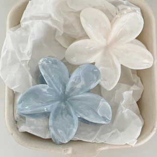 Ins Hot Flower Kẹp Tóc Sáng Tạo Trong Suốt Chân Tóc Thời Trang Mùa Hè Đạo Cụ Ảnh Cô Gái Quà Tặng Tiếp Liệu