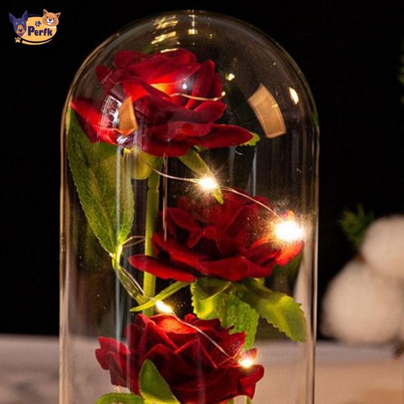 Hoa hồng Perfk trong vòm kính Quà tặng lãng mạn Sắp xếp cho đám cưới Ngày lễ tình nhân Trang trí kỷ niệm Giáng sinh