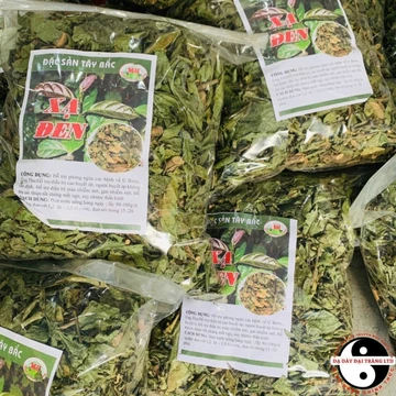 Lá cây xạ đen khô Hoà Bình loại 1 phơi sấy khô từ lá cây xạ đen tươi giúp giải độc gan chống lại khối u ổn định huyết áp