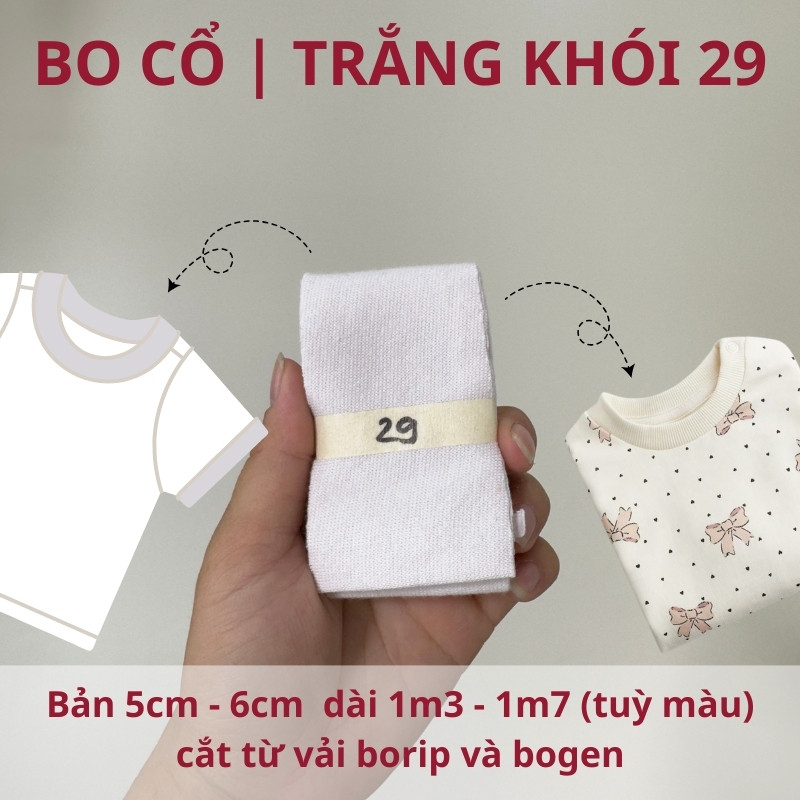 số 29