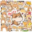 Hộp 50 Sticker Hình CHÓ SHIBA Decal Phản Quang 7 Màu Halogram Chống Nước NSX Gì Cũng In | MS: 000113
