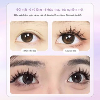 100 bộ mi giả kiểu chó không cần keo