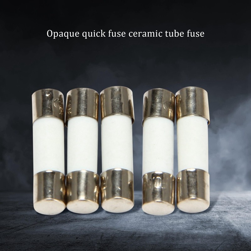 10 Cái 250V 0.5A 500mA Ống cầu chì gốm thổi nhanh 5mm x 20mm (R F C V)