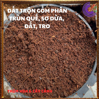 2ký ĐẤT TRỒNG RAU HOA CÂY CẢNH MỊN🕰Siêu Thị Hoa Và Cây Giống
