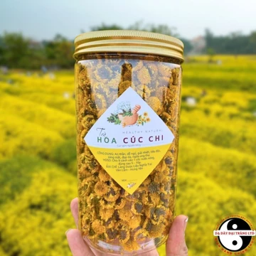 Trà hoa cúc chi, cúc tiến vua Hưng Yên sấy lạnh loại 1, hoa cúc chi vàng sấy khô lợi sữa, dễ ngủ, nấu nước sâm, pha trà