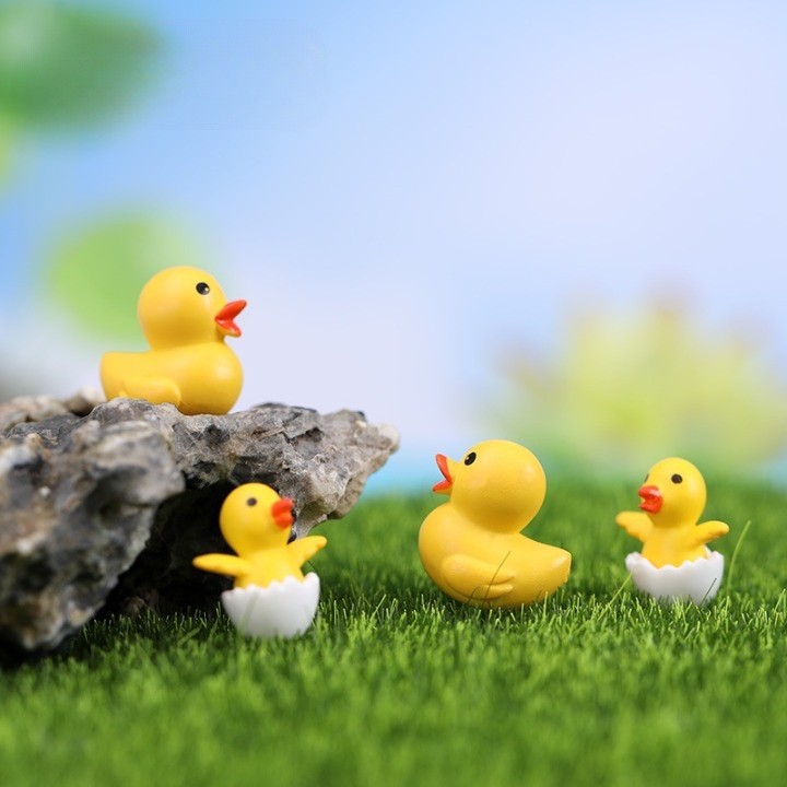Vịt Con Nghộ Nghĩnh Đáng Yêu - Trang Trí Tiểu Cảnh