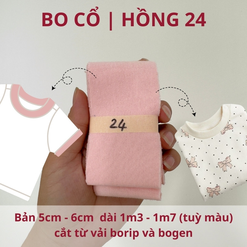 số 24