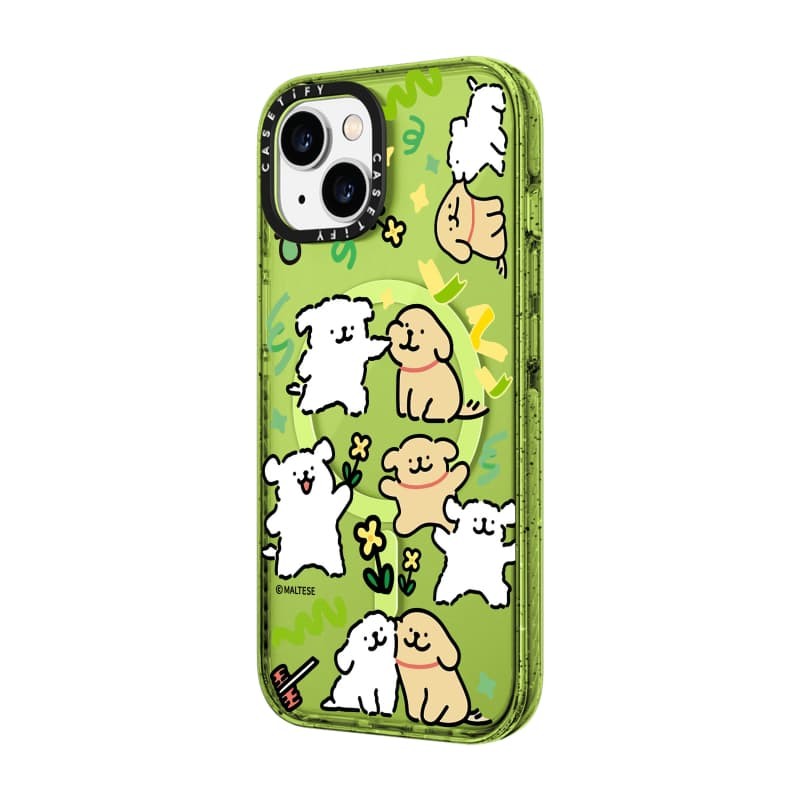 Casetify X Maltese Màu Ruy Băng Case KIWI Hút Từ Tính Cứng Acrylic Ốp Lưng Cho Apple IPhone 12 13 14 15 16 Pro Max Plus Có Hộp