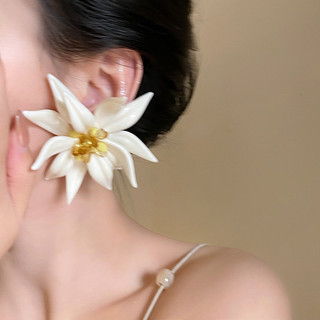 Vòng cổ thời trang, kim bạc, bông tai hoa pha lê, phóng đại sự đơn giản, xu hướng, cảm giác cao cấp