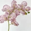 GỖ Nhân Tạo Bướm Phong Lan, Dây Sắt Bên Trong Lót 10 Đầu Phalaenopsis Giả, Nhiều Màu 98cm Cảm Ứng Thật Mô Phỏng Hoa Trang Trí Đám Cưới