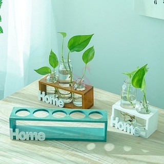 Bình Hoa Thủy Tinh Home Phối Gỗ Myd.23 Trồng Cây Thủy Canh Cắm Hoa Decor Trang Trí Nhà, Ban Công