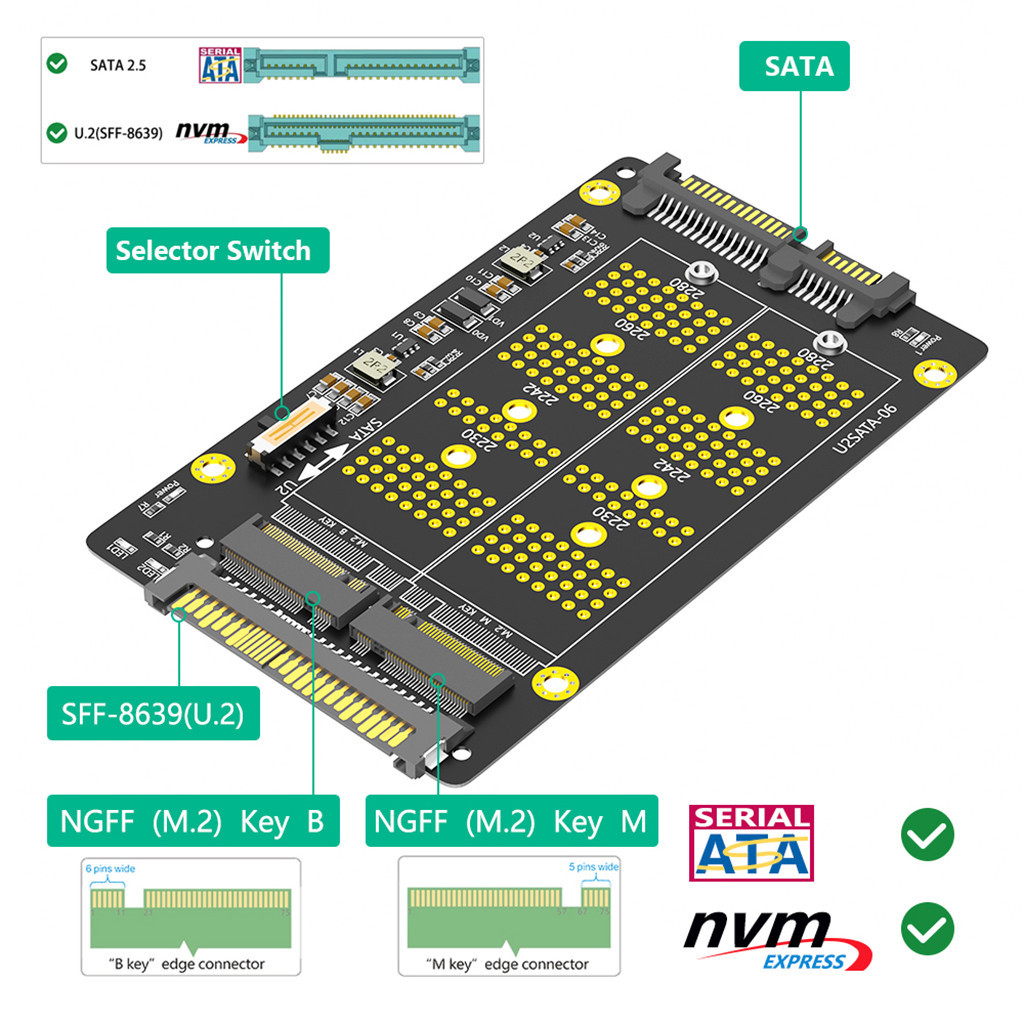 Jmt Phiên bản mới Combo M.2 (NGFF) NVME PCI-E SSD sang U.2 SFF-8639 & M.2 (NGFF) SATA SSD sang SATA Adapter
