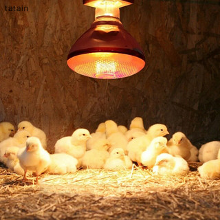 Tatain 250W Đèn sưởi hồng ngoại gia cầm Bóng đèn dày chống nước chống nổ ​Dành Cho Heo Con Vịt Gà Chim E27 Đèn Heag VN