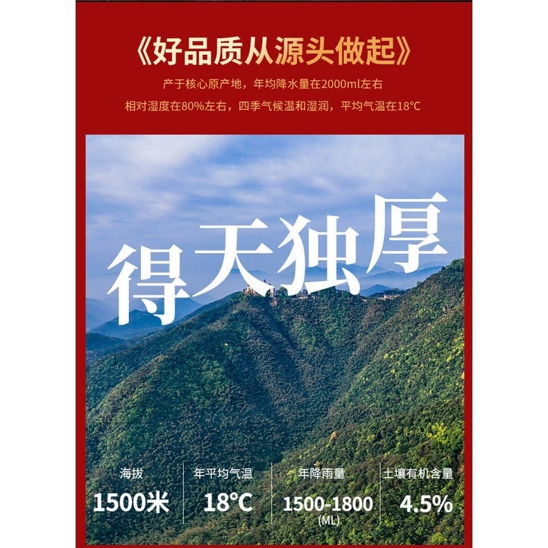 NHAM TRÀ ĐẠI HỒNG BÀO THƯỢNG HẠNG (ĐÓNG GÓI 500 GRAM)