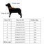 【PET HOUSE】Vòng cổ bảo vệ chó mèo vòng cổ chống cắn thú cưng,vòng chống liếmDễ dàng sử dụngchống trầy xước và chống cắn