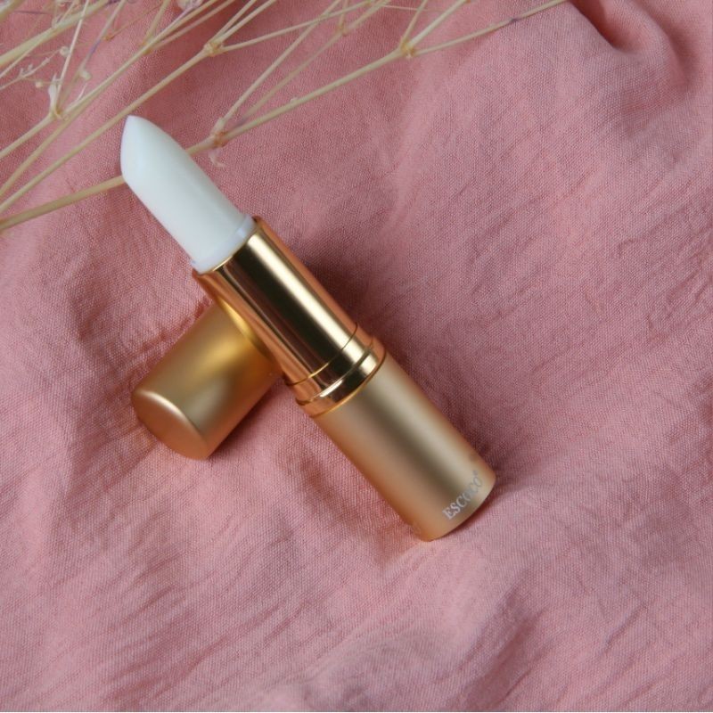 Son dừa Escoco  dưỡng ẩm môi mềm môi