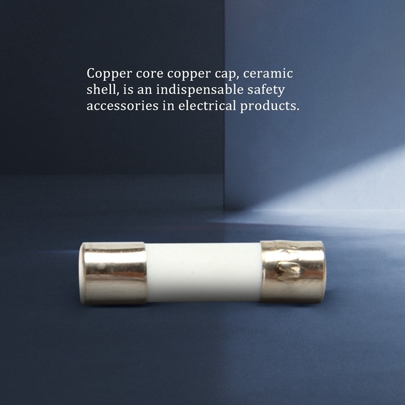 10 Cái 250V 0.5A 500mA Ống cầu chì gốm thổi nhanh 5mm x 20mm (R F C V)