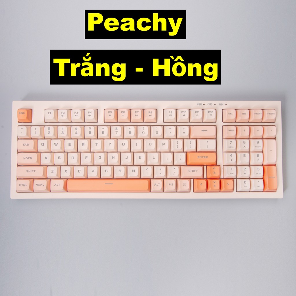 Bàn phím văn phòng P5 Paynan Peachy chống ồn kết nối cáp rời 98 phím đèn led trắng  keycap màu cổ điển | BigBuy360 - bigbuy360.vn