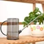Chậu tưới nước có vòi dài THEGIRL8B, Bình tưới nước nhỏ có vòi tinh thần 1L / 1.5L, thiết thực có tay cầm bằng nhựa có thể đo lường được Máy phun nước thực vật ngoài trời