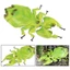 FUHUIOT Mantis Figurine, Đồ trang trí Côn trùng mô phỏng thực tế, Đồ chơi khoa học Động vật Giáo dục Nhận thức Cầu nguyện Mô hình bọ ngựa Đồ chơi trẻ em